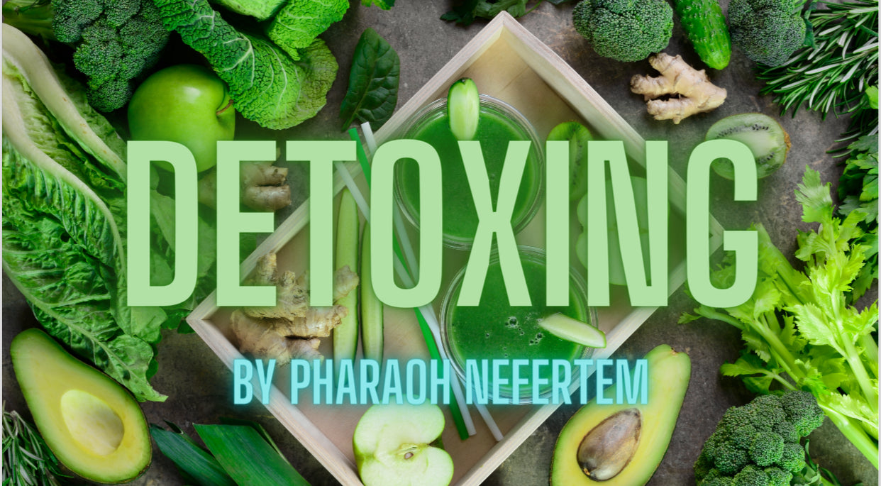 Detox Lecture