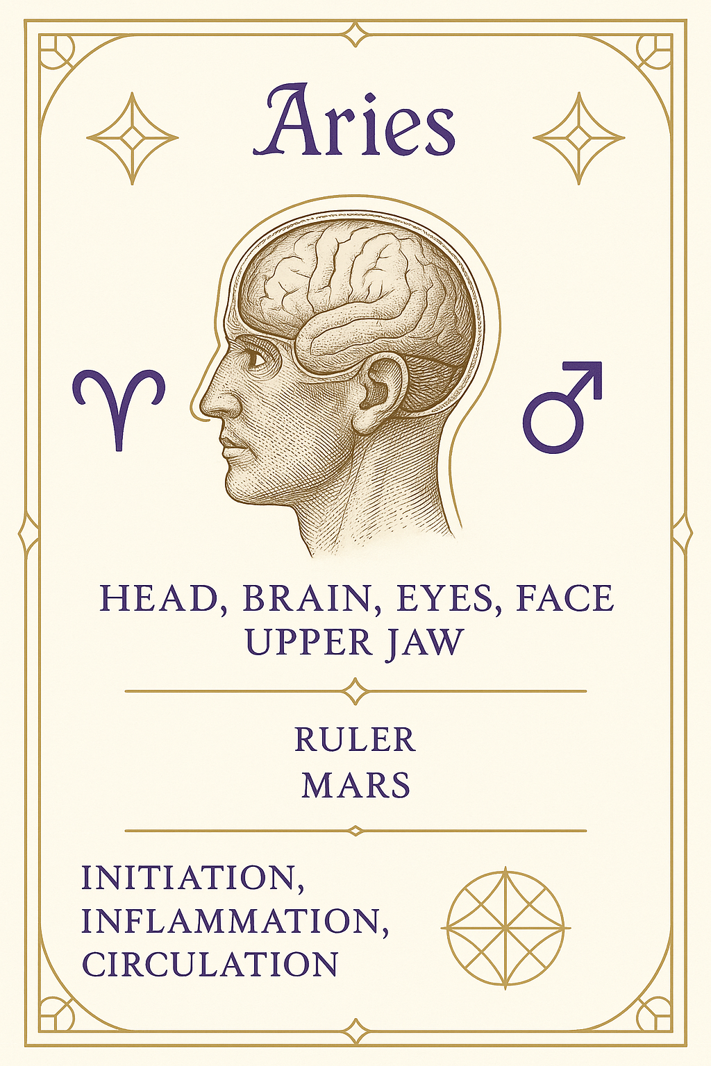 Zodiac Body Cards: Astrological Anatomy of the 12 Signs
